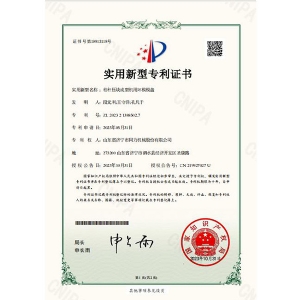 专利
